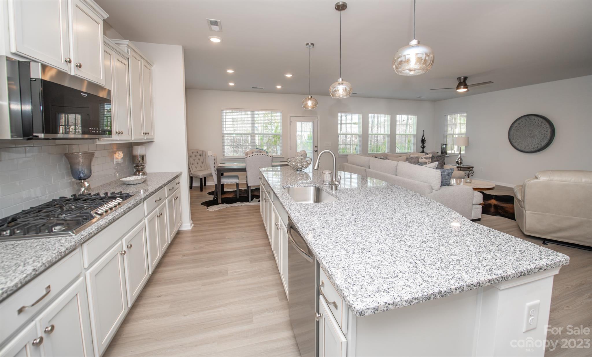 Imagery On Mtn Island - Residential