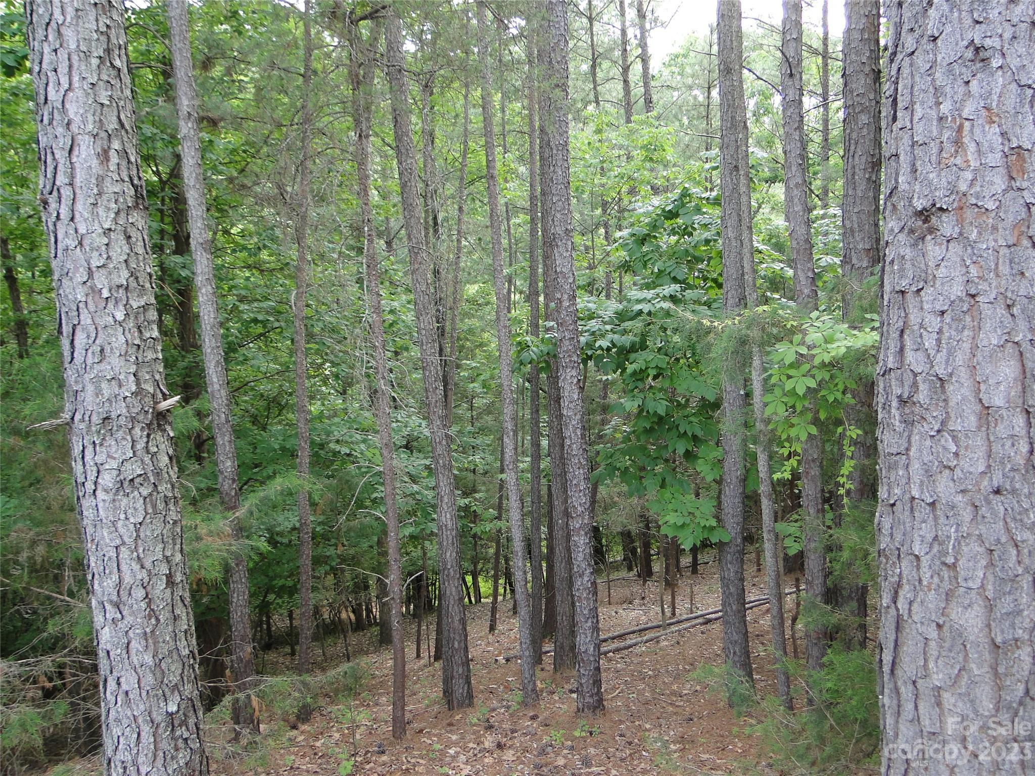 Photo 1 of 2 — 12020 Baywoods Drive, Tega Cay, SC 29708
