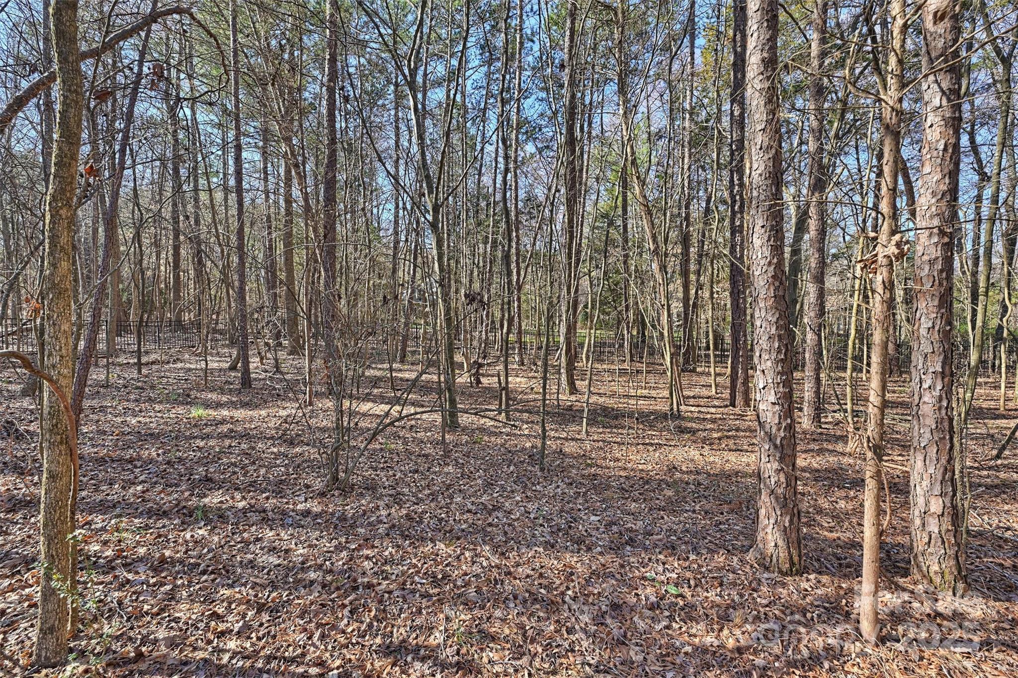 Highgate - Residential