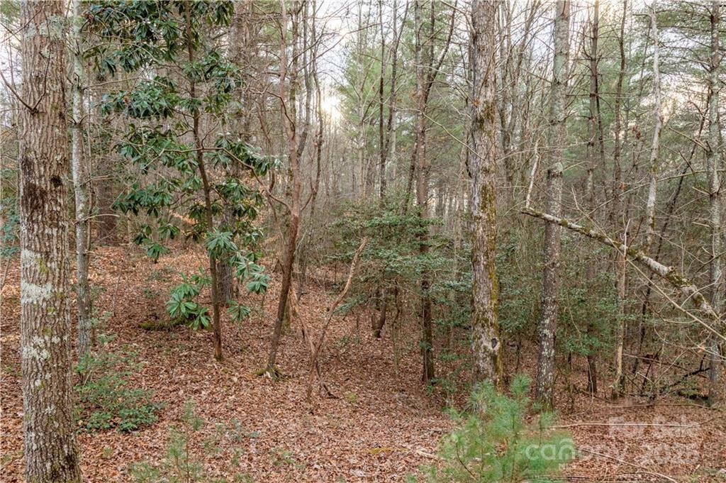 1209 Lakeside Way NW 6