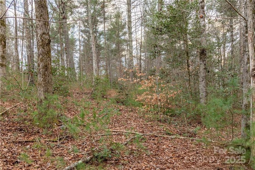 Discover one of the area's best-kept secrets with this interior lot in Waterside on Lake Rhodhiss! This 1.6-acre interior lot within the gated community (electric gate with code) is just a short distance from the main entrance, and just a short distance from the community park and community boat dock. Community boat slip leases are currently just $500/season, and HOA dues are currently just $300/year. Minimum build square footage is only 1,400, so this is a nice place for a second/getaway home, or a primary residence! Waterside is also home of one of Lake Rhodhiss' resident Bald Eagle families, who nest and raise their young in a tall tree within the development. The lots and area around the nesting area are protected, but this lot is not affected by the protections. Golf carts and UTVs (muffled appropriately) are allowed within the neighborhood, and the development features include underground utilities, city water, city sewer, community outdoor firepit, gazebo, and grill. Check it out!