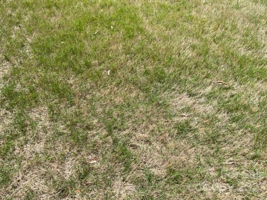 Level and rectangle 52' X 126'. Seller purchased this lot though a tax sale therefore there is a high likelihood that the title will need to be taken through a quit title action, which if needed, the seller intends on paying for. Buyers and Buyers Agents knowing this information please submit offers with a 90 day closing. All information is deemed correct however not guaranteed, please verify any and all information before you submit your offer including but not limited to wether there is an HOA, or building restrictions, proper utility connections, etc...Seller and Sellers agent have very limited knowledge of this lot.