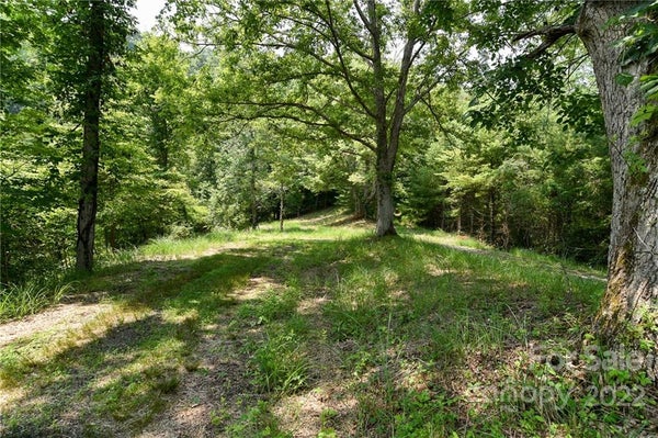 13 THE VINES BLVD, MARSHALL, NC 28753 - Image 7b6f1dc53d3a77d19f70bbea0e4e0d23/1100586891
