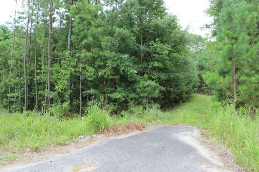 Almost 9 acres close to town!  Land is overgrown, but has potential!  On the corner of McConnells Hwy and Oak Park Rd.  Over 475’ road frontage on McConnells Hwy., and over 500’ of frontage on Oak Park Rd.  Home on property has no value.