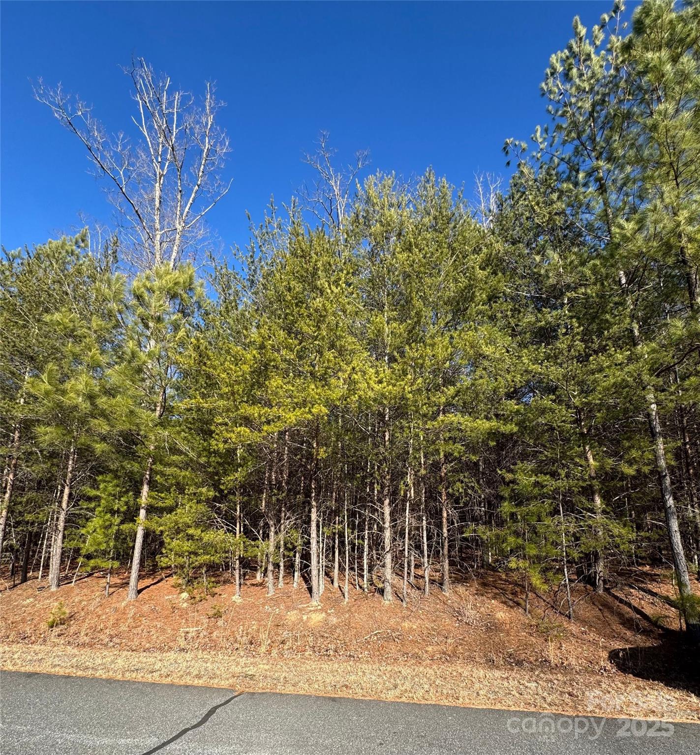 00 N Dakota Drive 321