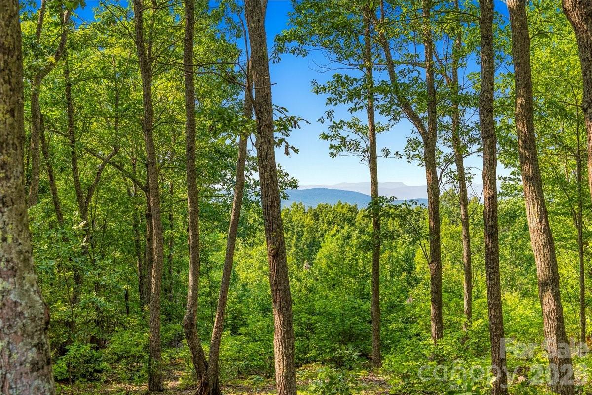 207 Mossy Oak Trail 166