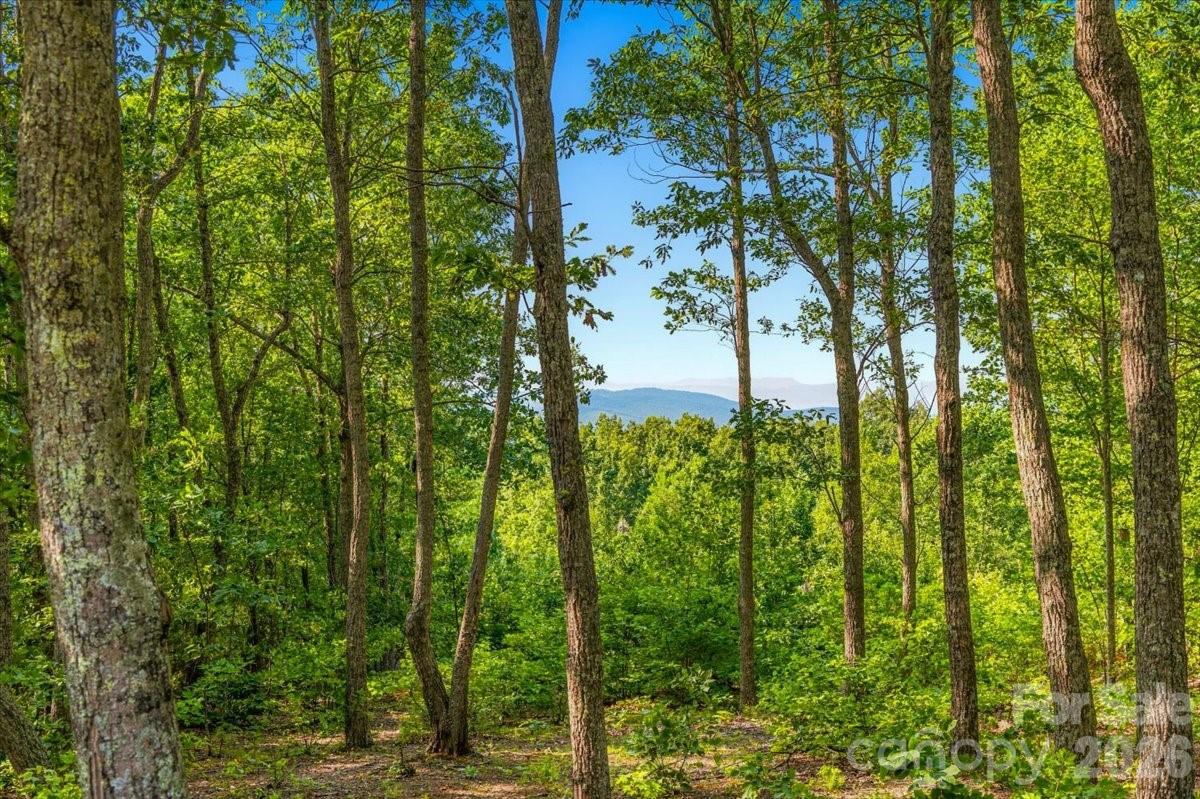 207 Mossy Oak Trail 166