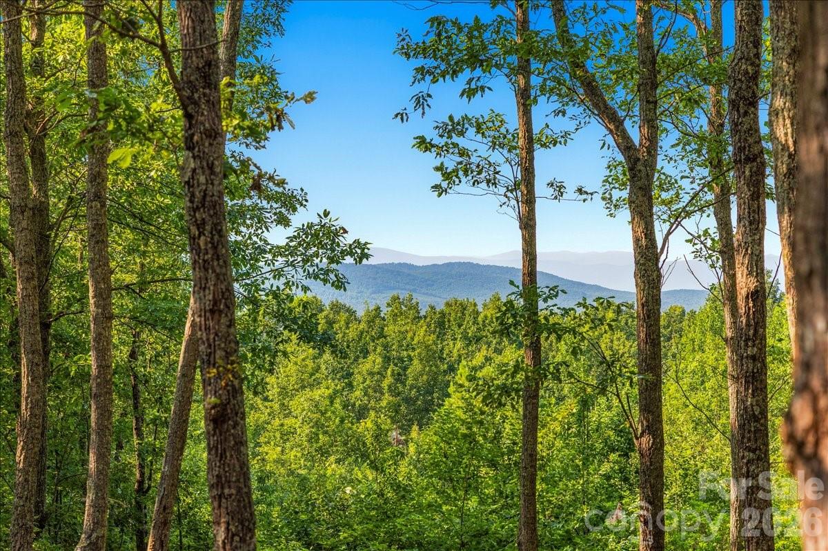 207 Mossy Oak Trail 166