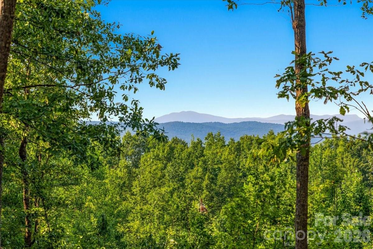 207 Mossy Oak Trail Unit 166, Nebo, NC, 28761