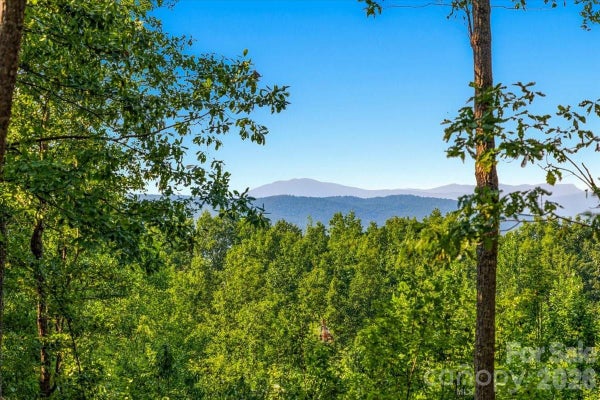 207 MOSSY OAK TRL, NEBO, NC 28761 - Image 7b7d503ad04d5c764e3bba3f796cf0cd/4041936291