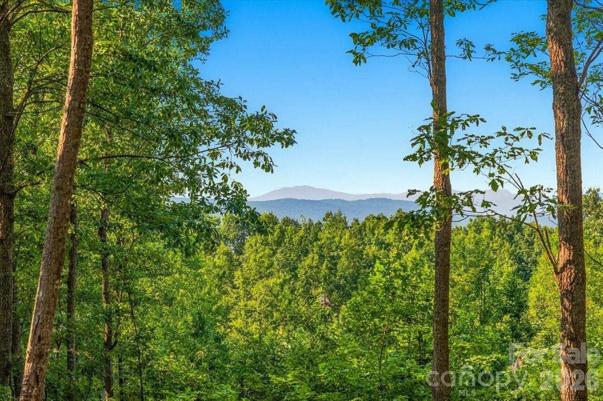 207 Mossy Oak Trail 166