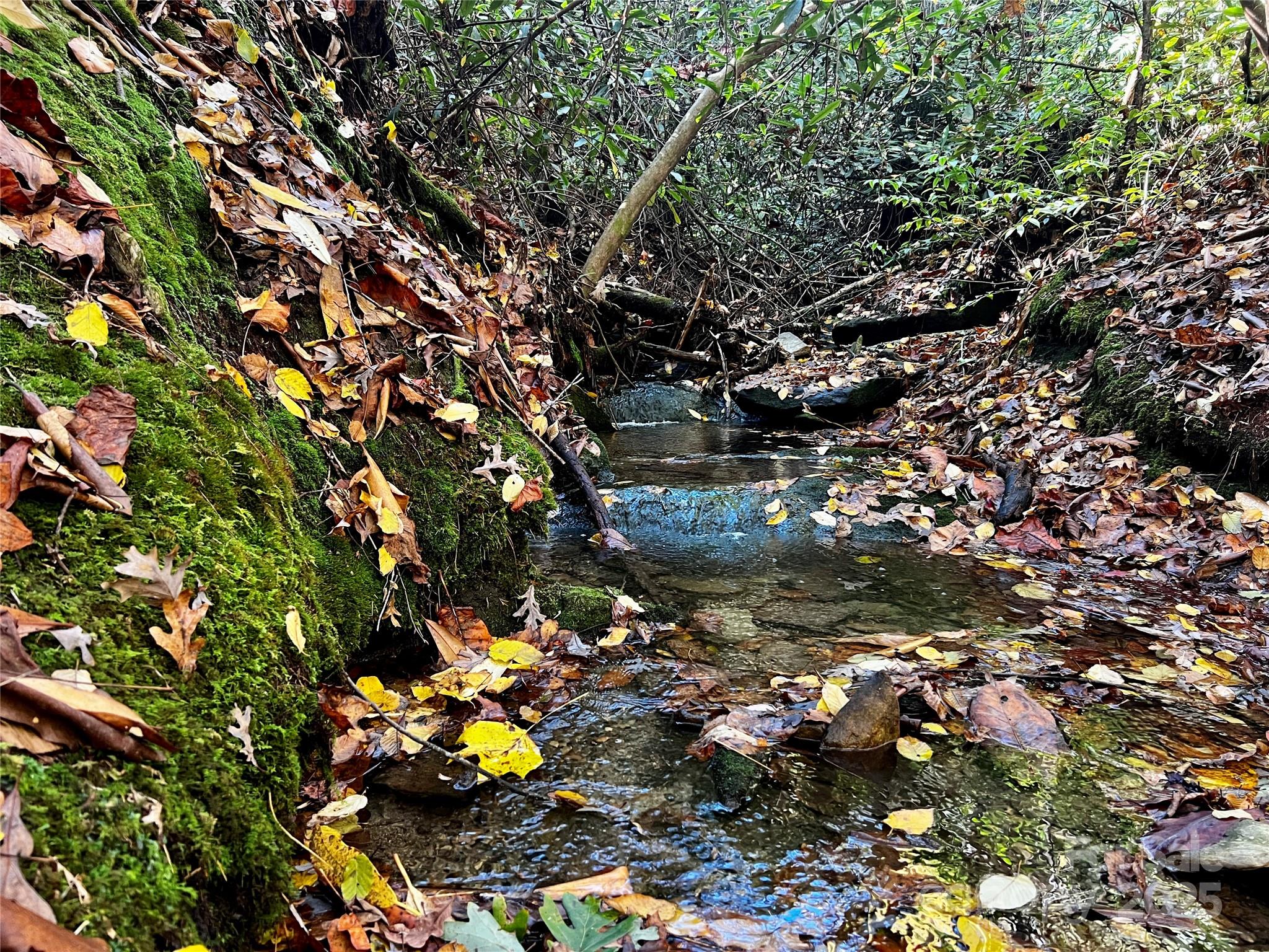 TBD Old Toxaway Road