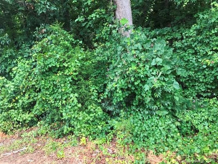 Wonderful established neighborhood with easy access to I-77, shopping and restaurants.  Come build your dream home in this awesome location.