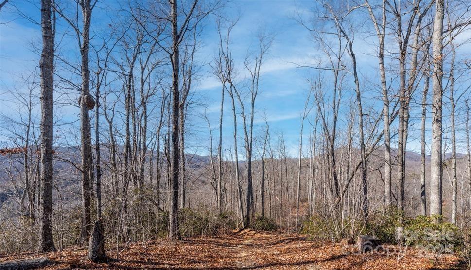 35 Lower Sand Branch Road