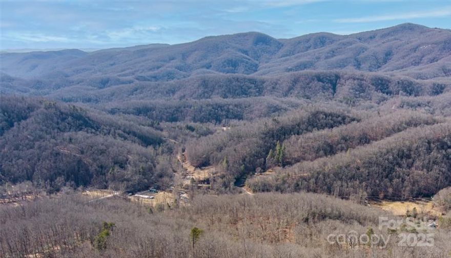 Nestled in the heart of Black Mountain, North Carolina, this land is a rare blend of vast, serene acreage and a cozy, inviting home. This 176-acre estate features a charming three-bedroom, one-bath house, perfect for those who value privacy and a connection with nature. The property presents limitless possibilities, from sub-division development with lots that have 360 degree views, agricultural pursuits and recreational activities to creating your own trails or wildlife sanctuaries. This land is not just a place to live; it's a canvas for your dreams, ideal for building additional homes, a family compound, retreat center or neighborhood development. Embrace the opportunity to have hiking, hunting, fishing, and outdoor sports right at your doorstep. With its rich natural landscape and potential for sustainable living, this property is a haven for those seeking a peaceful retreat or an adventurous lifestyle. Experience the unique charm and endless potential of this North Carolina gem.