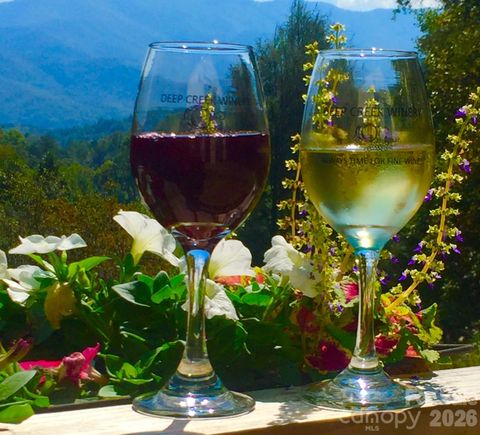 405 Johnathan Walk Road Bryson City NC 28713