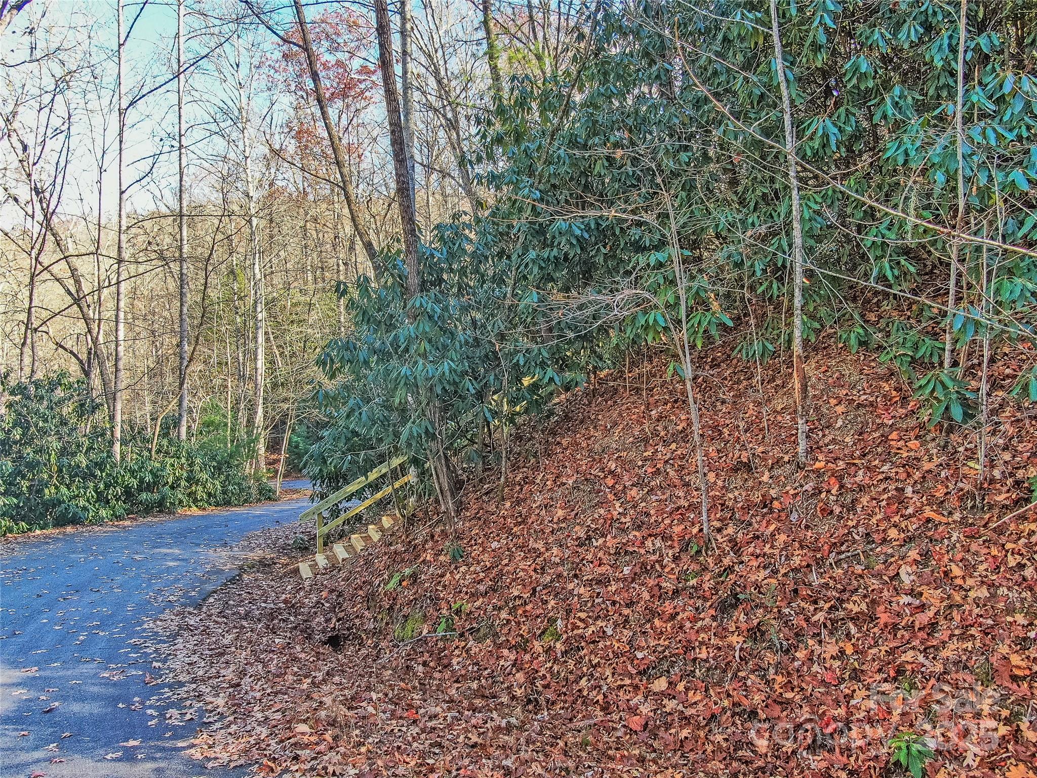 TBD Dundee Lane 6A