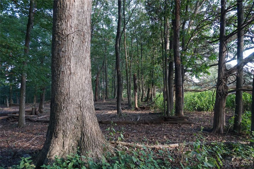 Beautiful 10 +/- acre tract of land in a well sought-after area of Chester County. Easy access to Chester and Rock Hill amenities. This land lays fairly flat and is completely covered with mature hardwoods.  Nice clean forest floor with large hardwoods located throughout. Incredibly private!  Ideal tract of land for a home tucked in the woods if desired! Several nice build-sites! NO HOA! Small restrictions to keep like-in kind properties in the area.