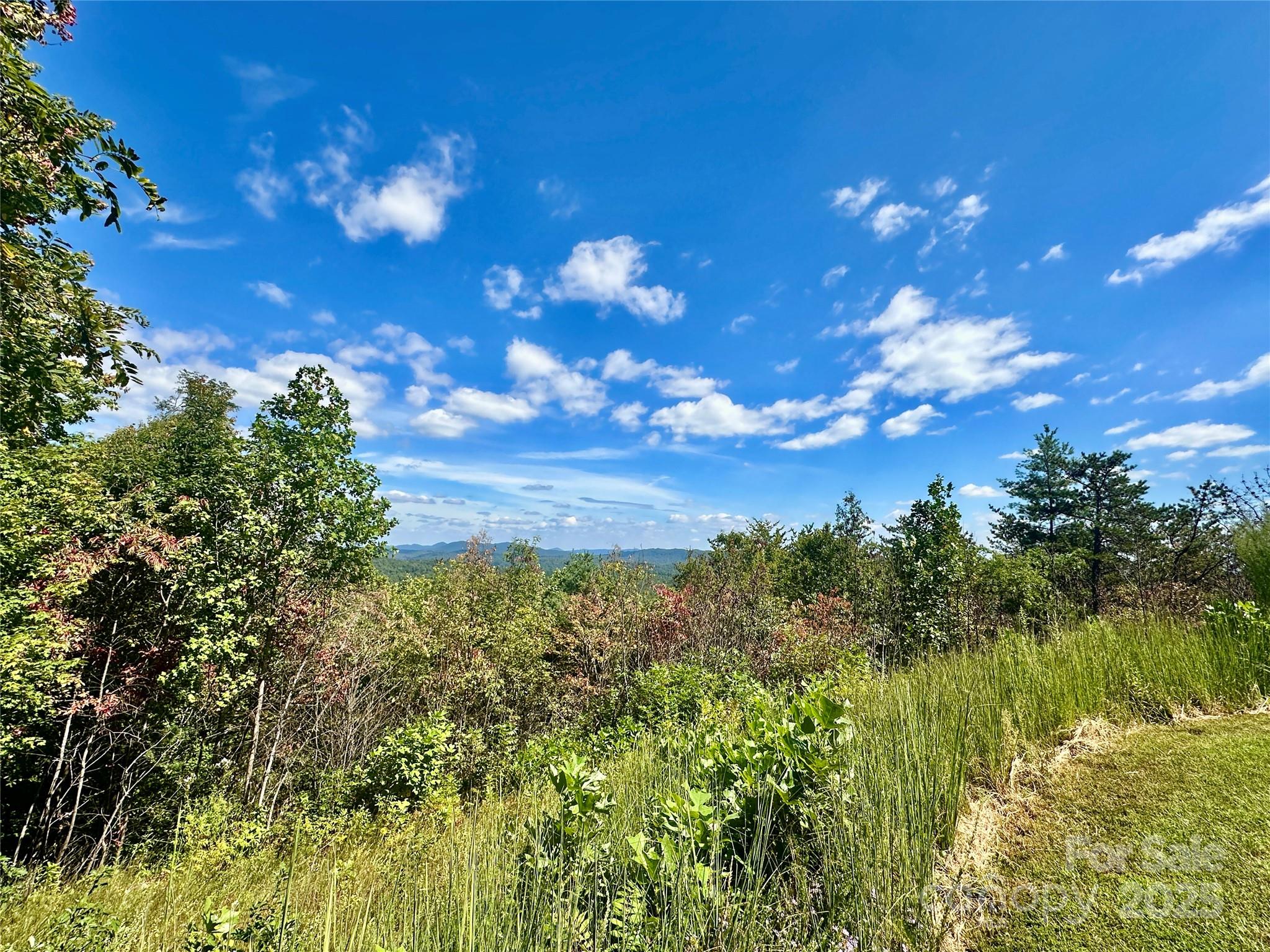 Lot 42 Tomahawk Ridge