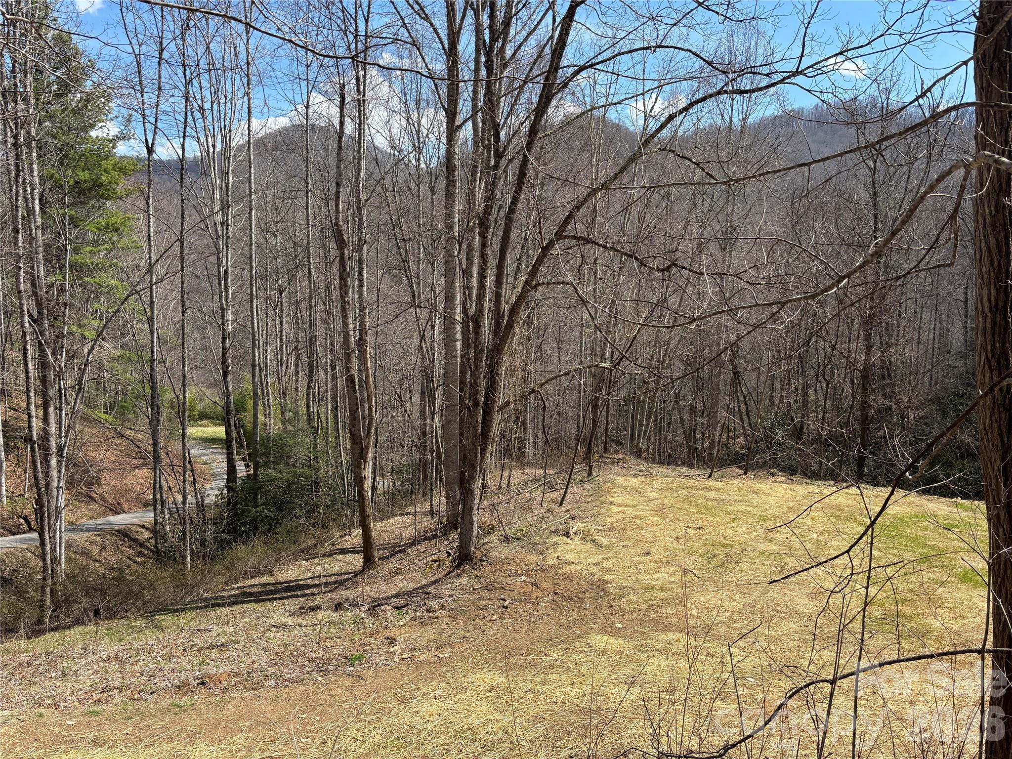 (South Lot) Meadow Fork Road