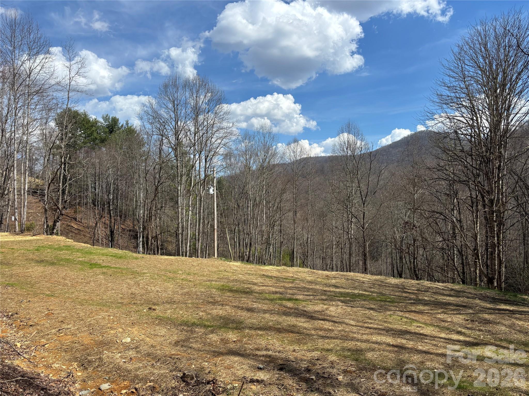 (South Lot) Meadow Fork Road