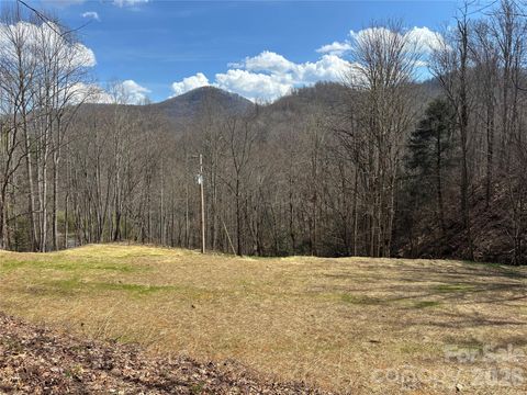 (South Lot) Meadow Fork Road Hot Springs NC 28743