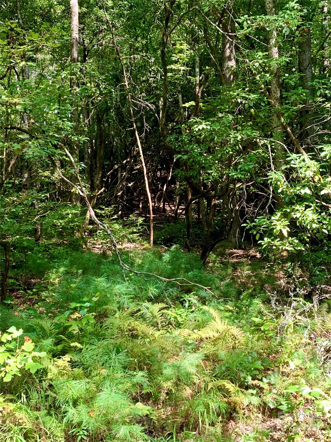 TBD Double Creek Drive 6