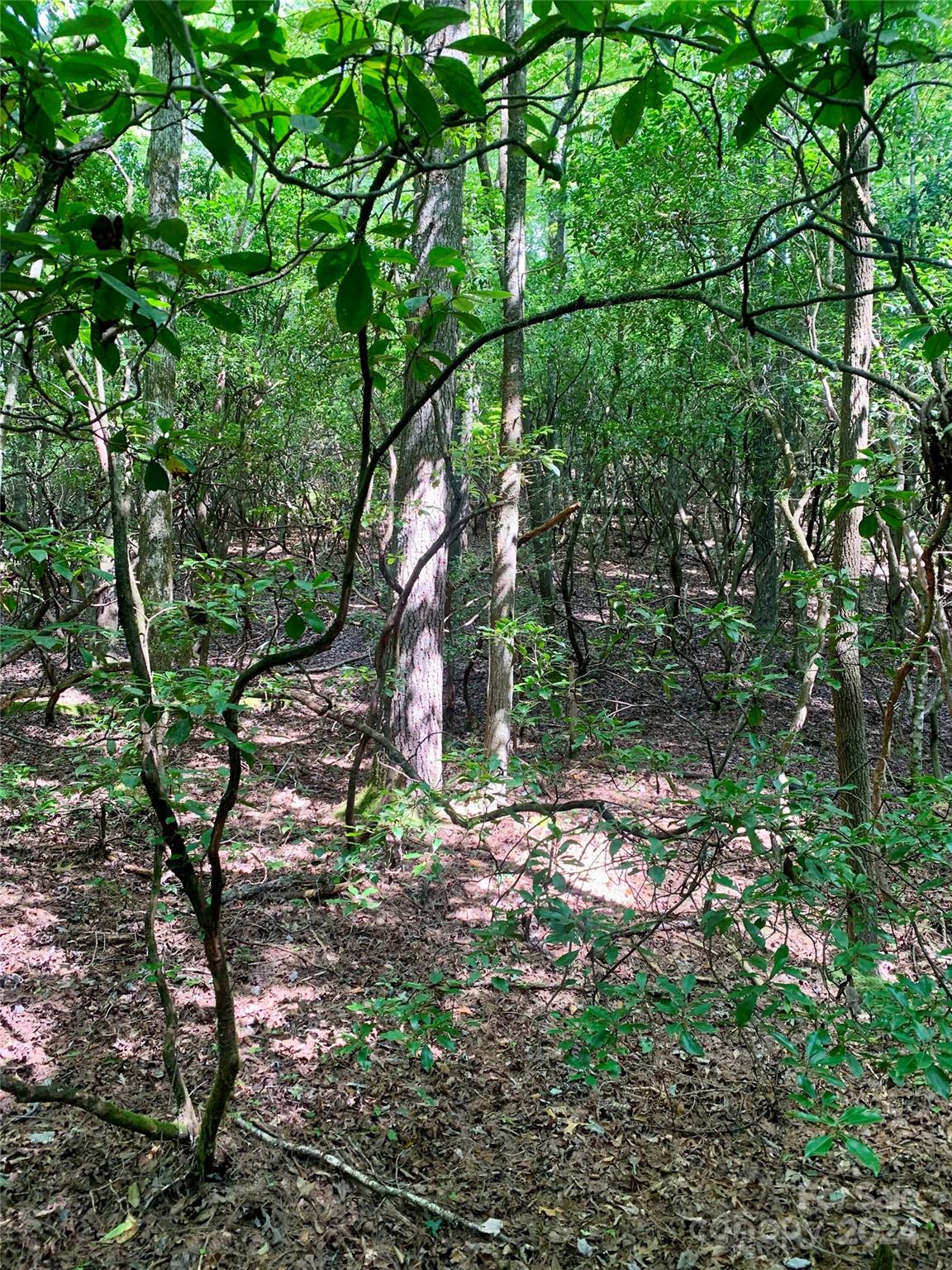 TBD Double Creek Drive 6