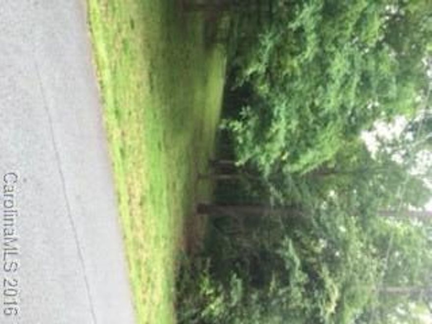 Great Location, Build Your Home Sweet Home in the Booming and Fun Filled Charlotte! Rated one of the fastest growing towns in America with the most gorgeous weather year-round. Make this YOUR Home!