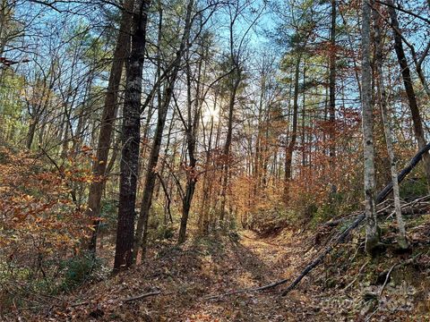 0 County Line Road Rutherfordton NC 28139