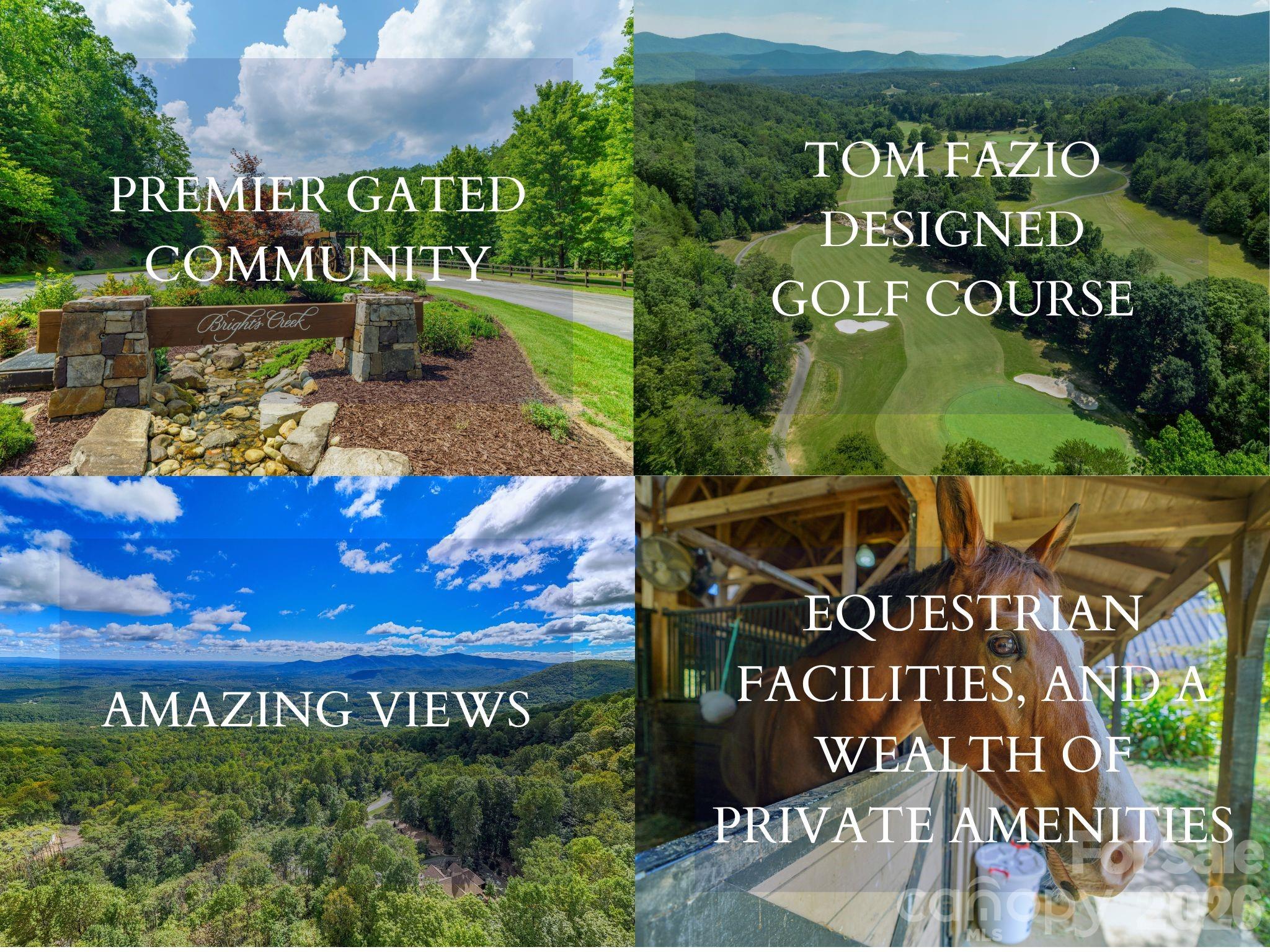 000 Deep Gap Farm Drive 2021