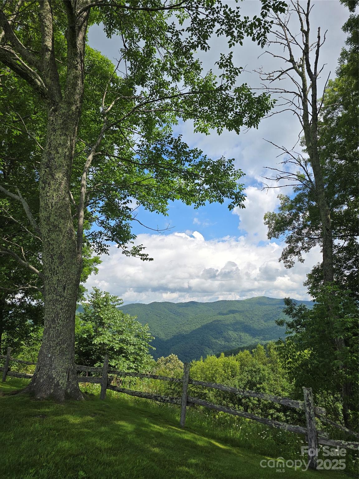 9.83 Acres Juniper Road 23