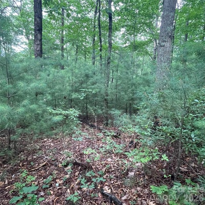 MULBERRY CT, HENDERSONVILLE, NC 28739 - Image 7be973de132f27ea1c7a6b42df1e8ebf/417701023