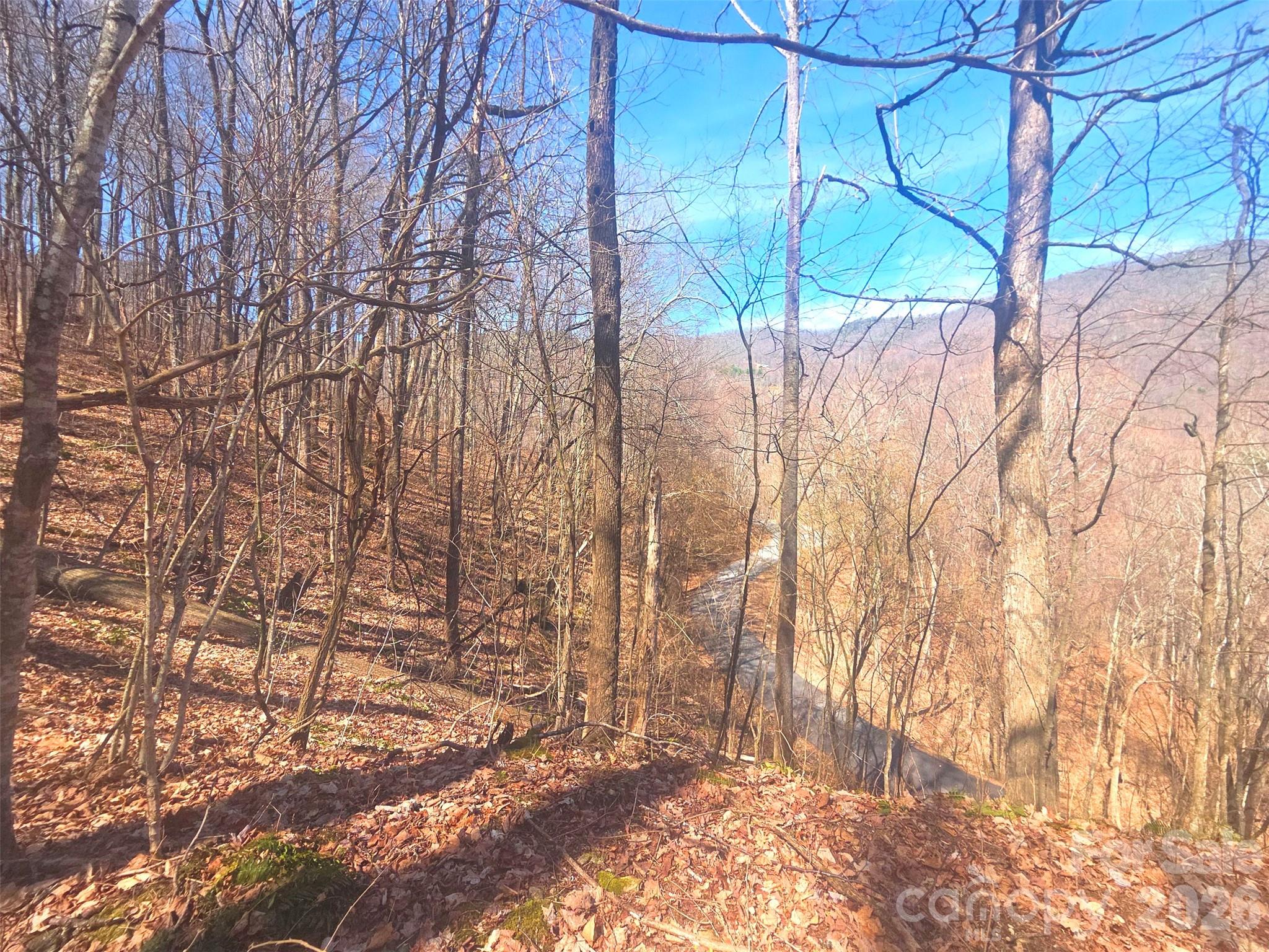 1200 Chestnut Flats Lane 138