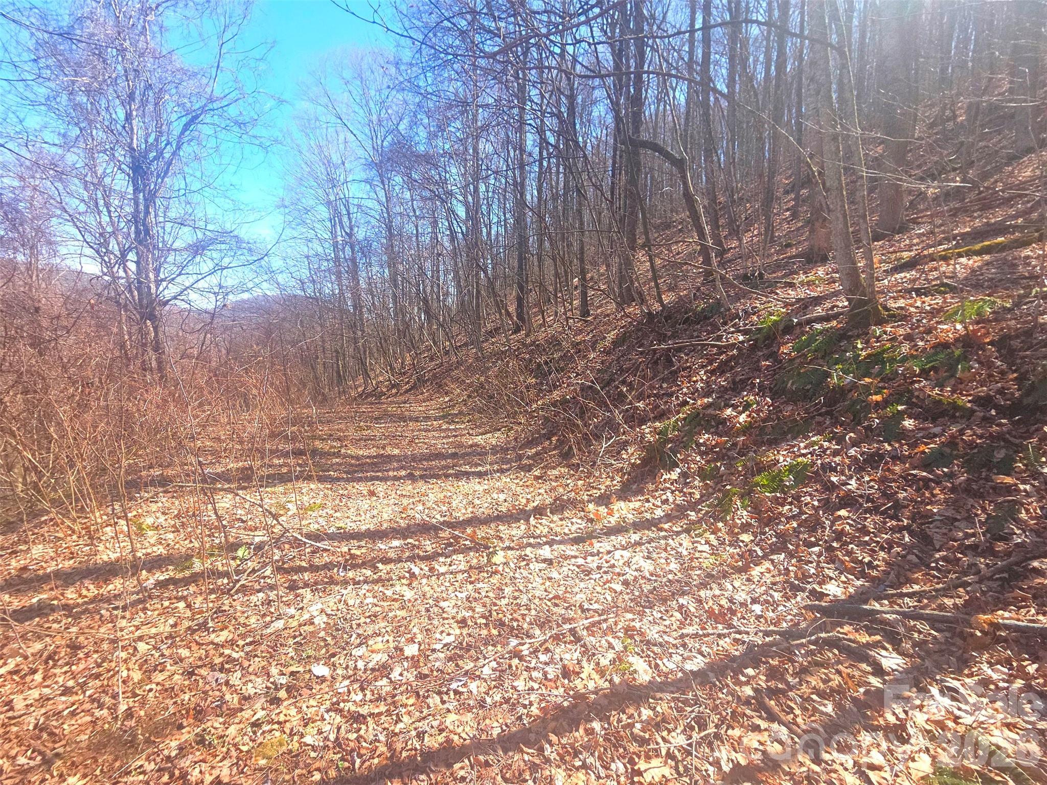 Villages Of Plott Creek - Land