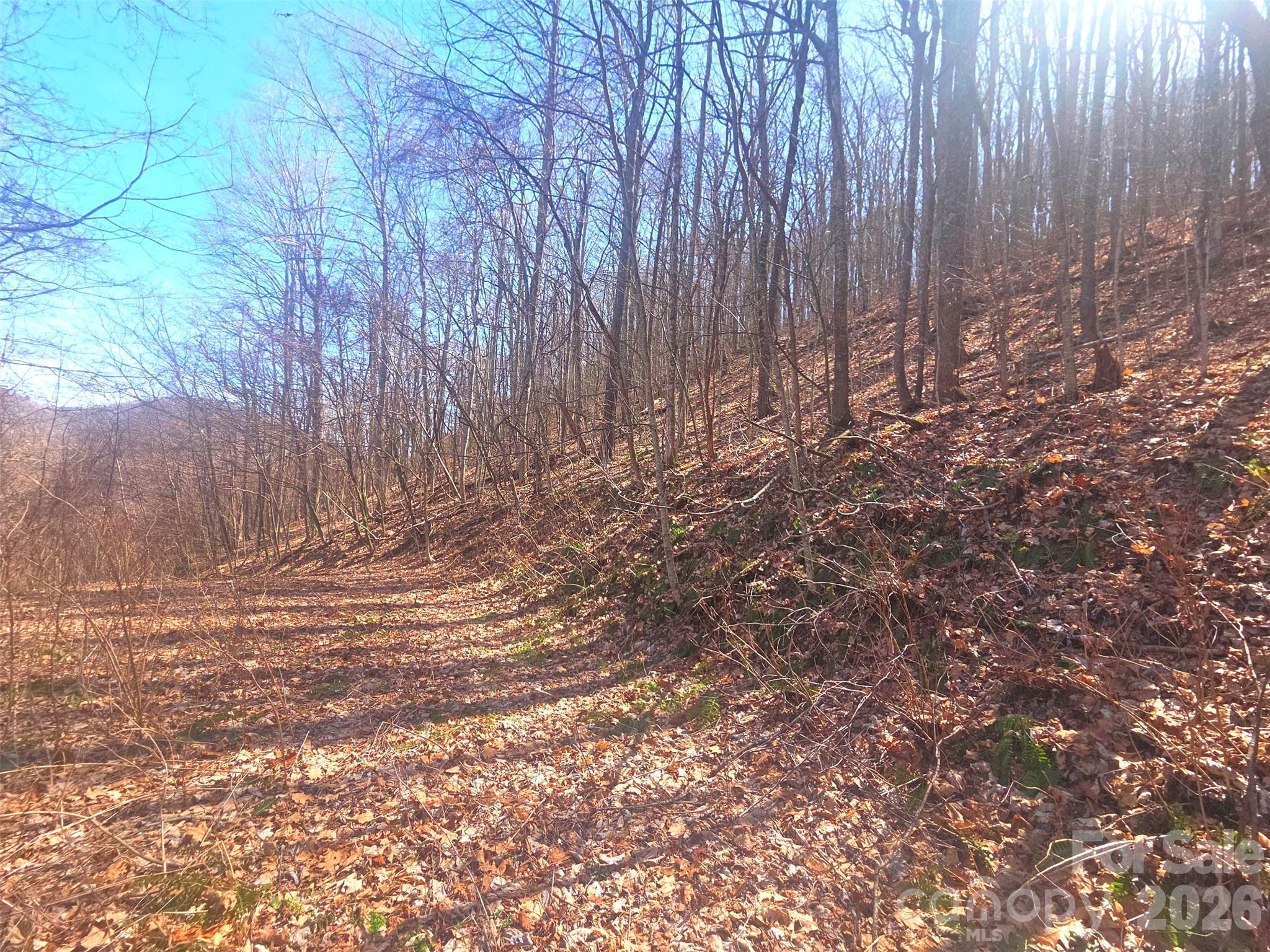 Villages Of Plott Creek - Land