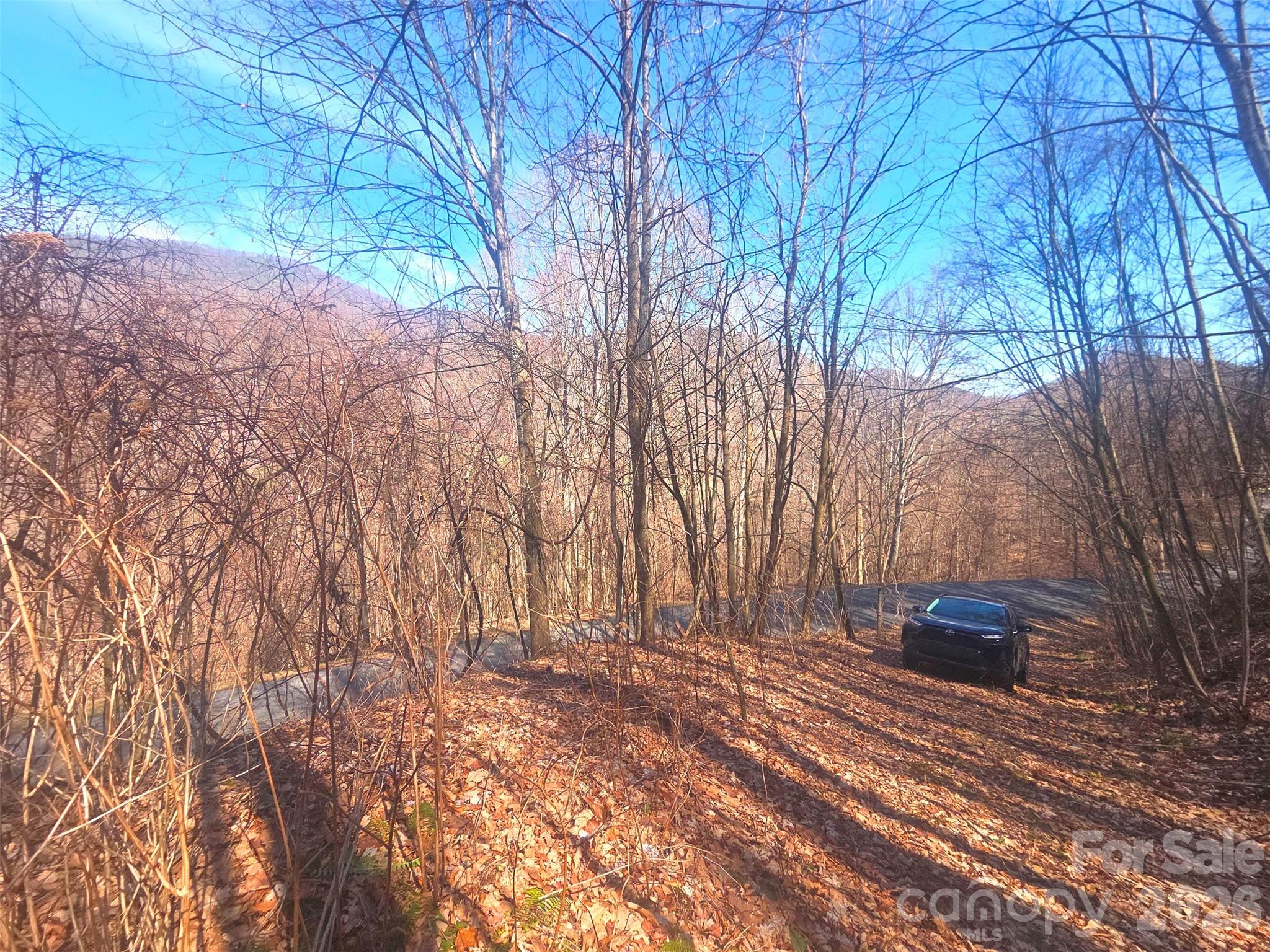 Villages Of Plott Creek - Land