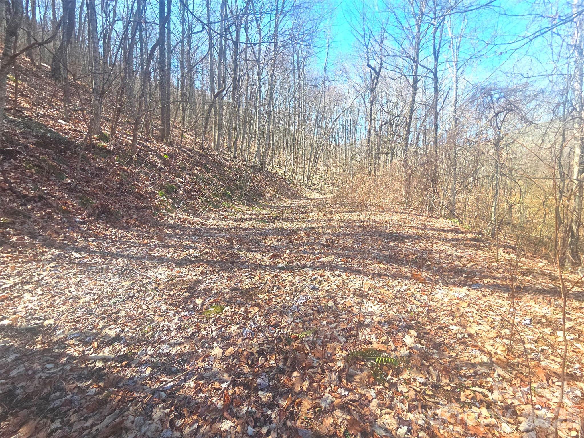 1200 Chestnut Flats Lane 138