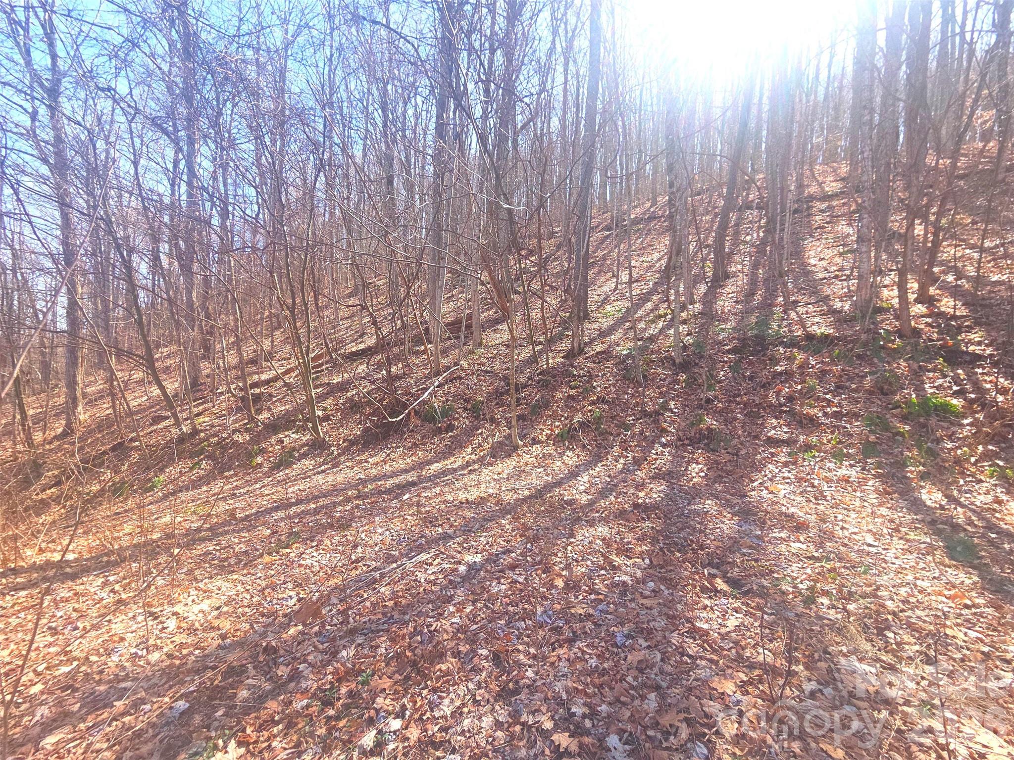 Villages Of Plott Creek - Land