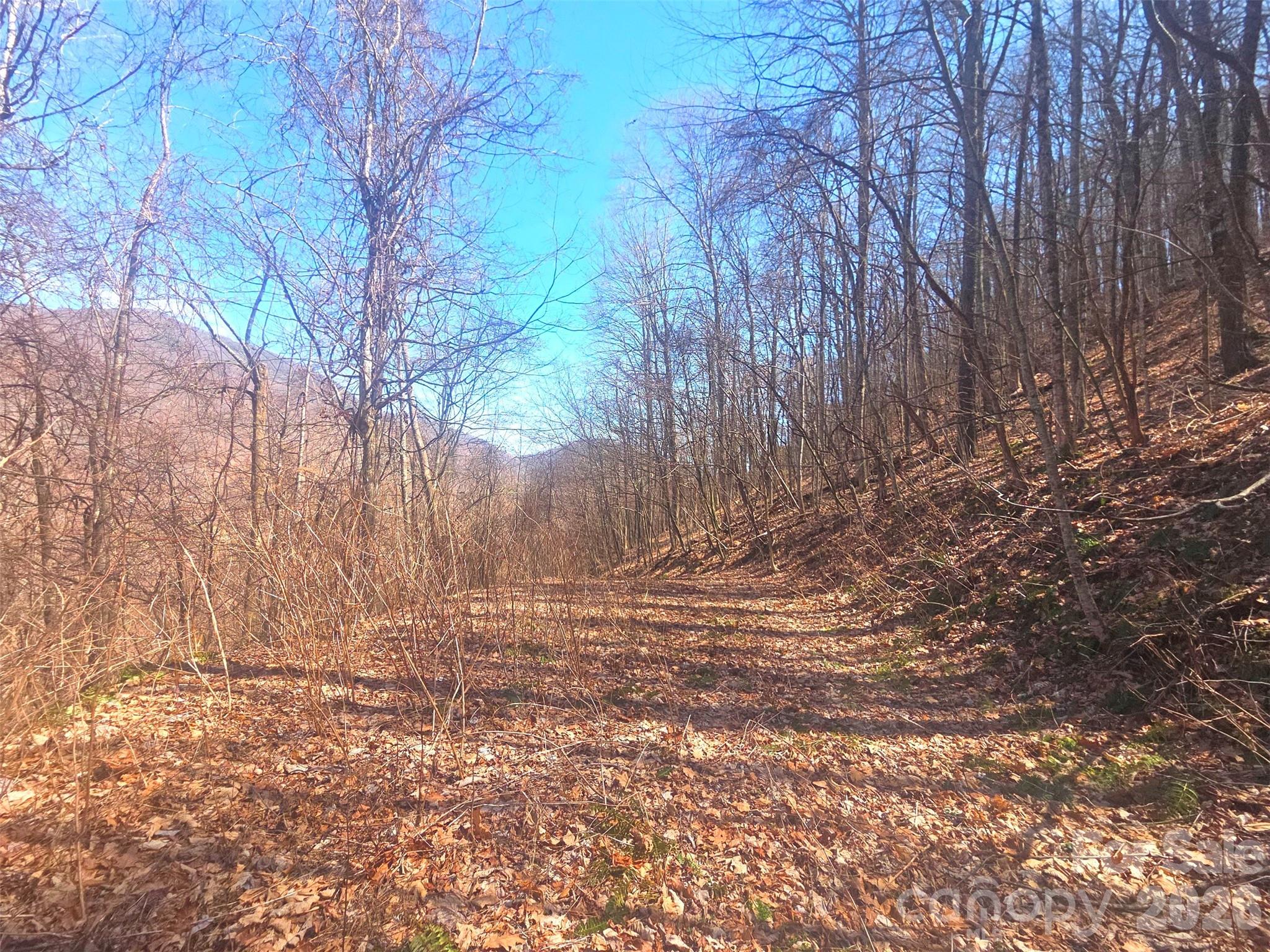 Villages Of Plott Creek - Land