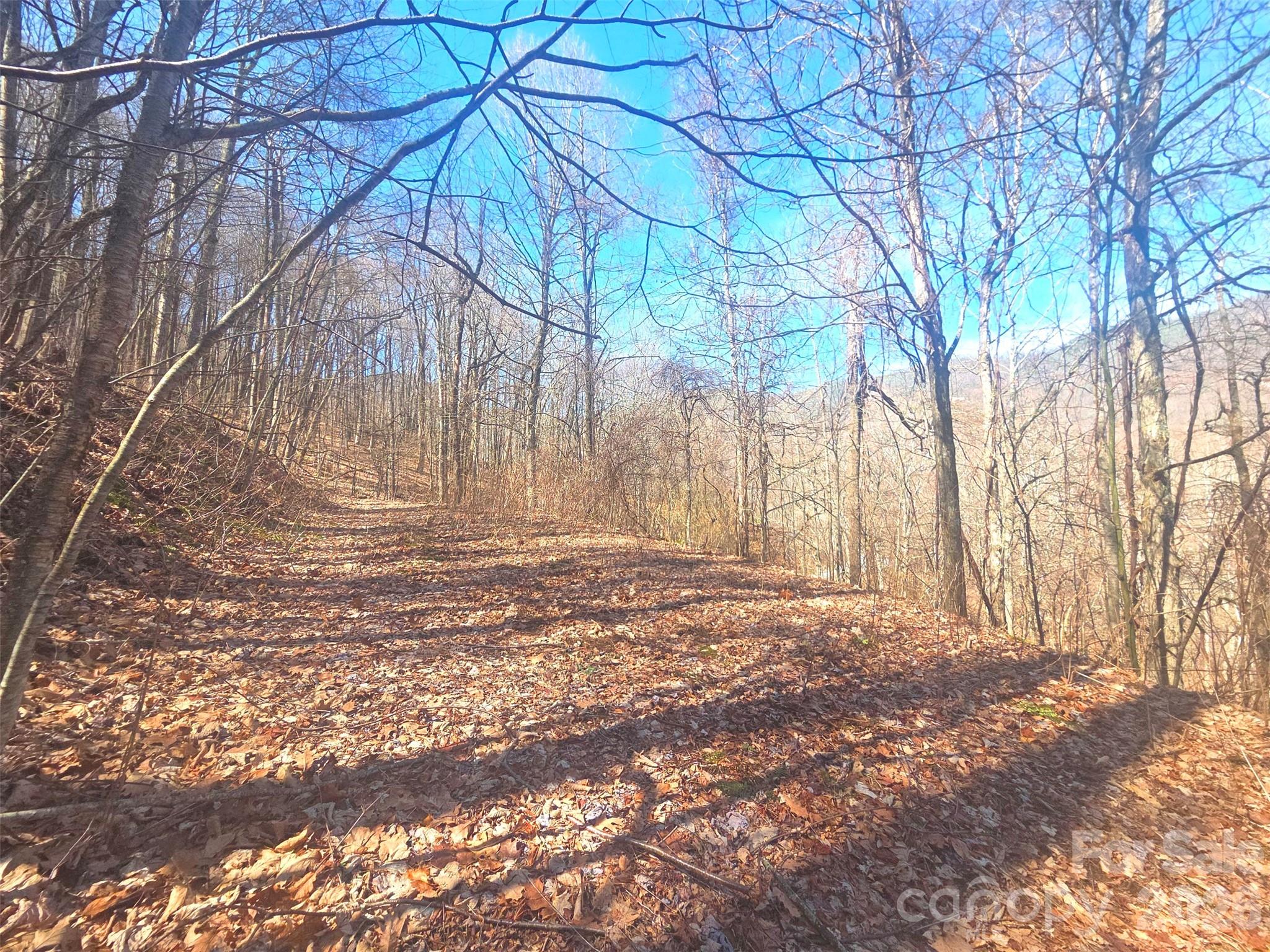 Villages Of Plott Creek - Land