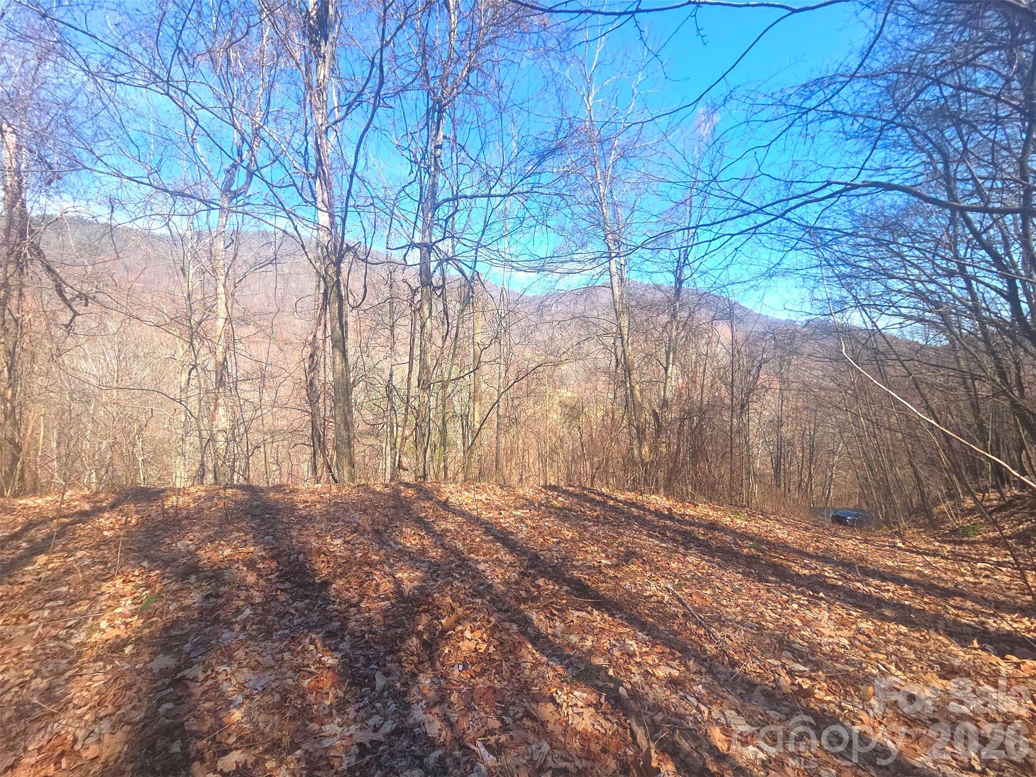 1200 Chestnut Flats Lane 138