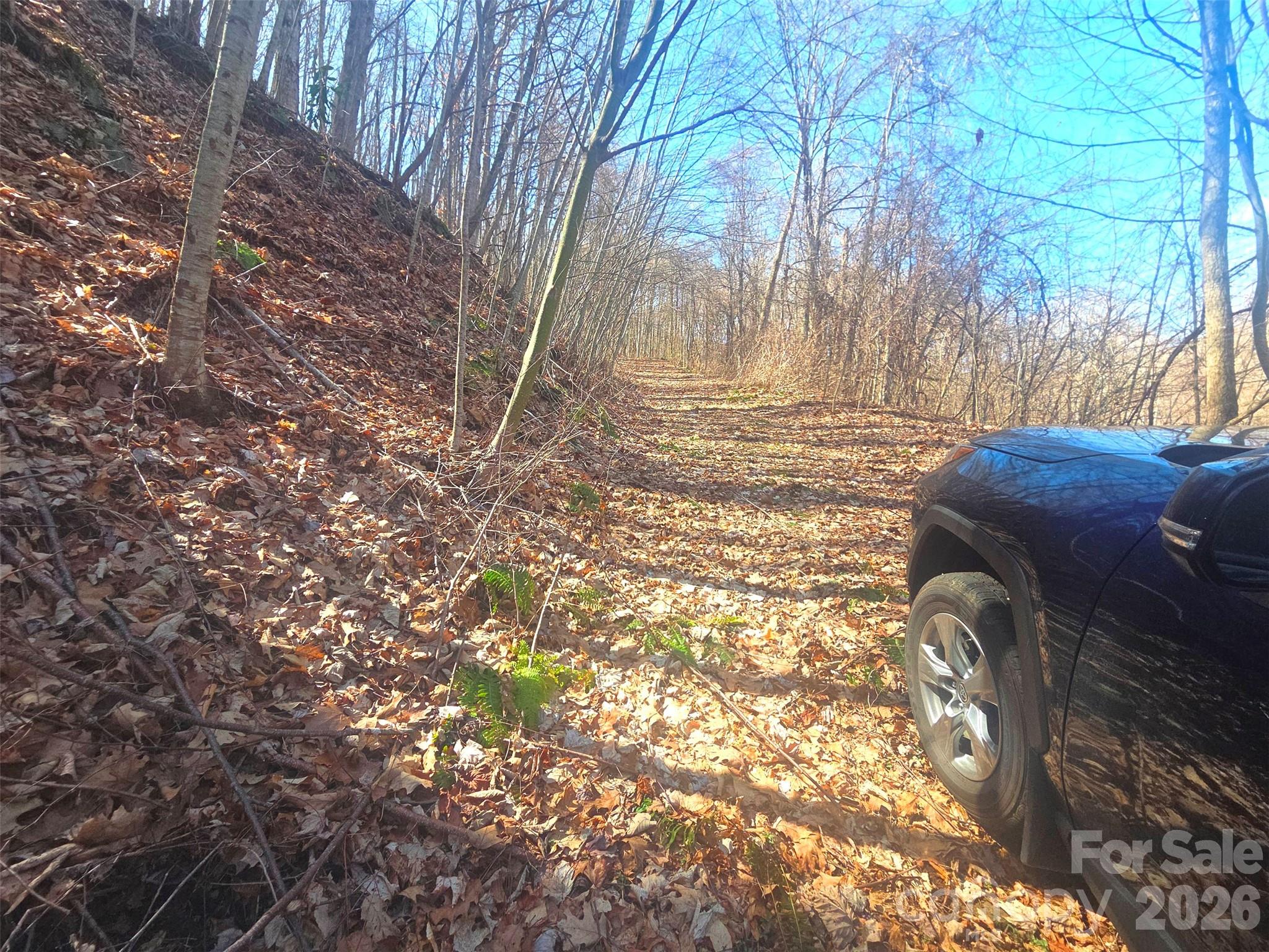 Villages Of Plott Creek - Land