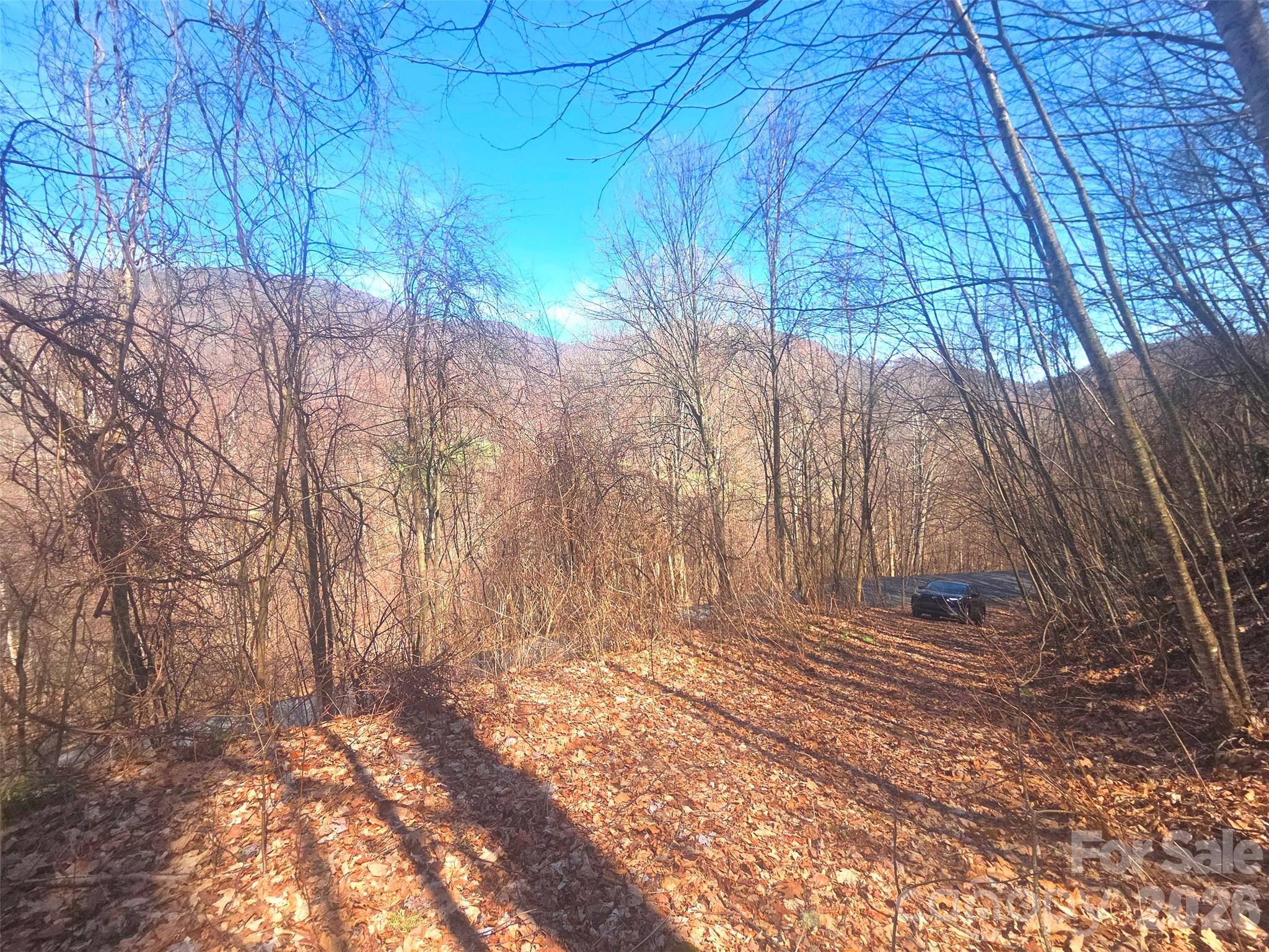 Villages Of Plott Creek - Land