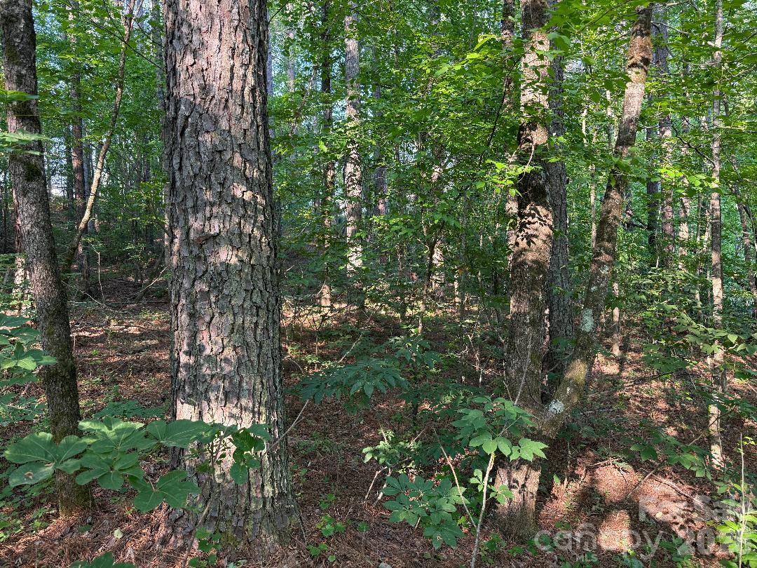 Riverchase Estates - Land