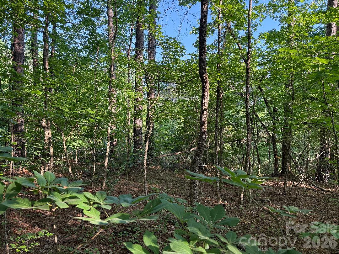 Riverchase Estates - Land