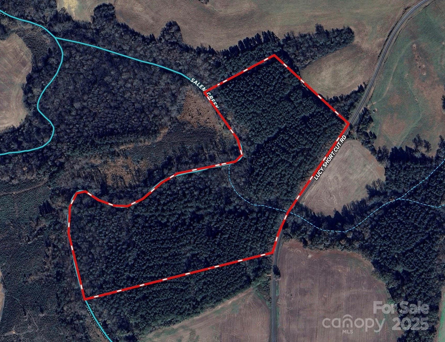 0000 Lucy Short Cut Road 3