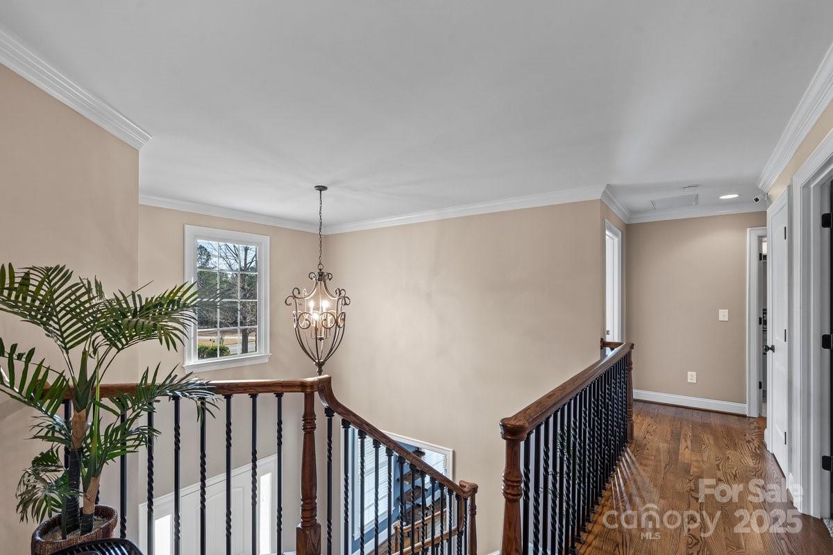 The Glades At Windswept Cove - Residential