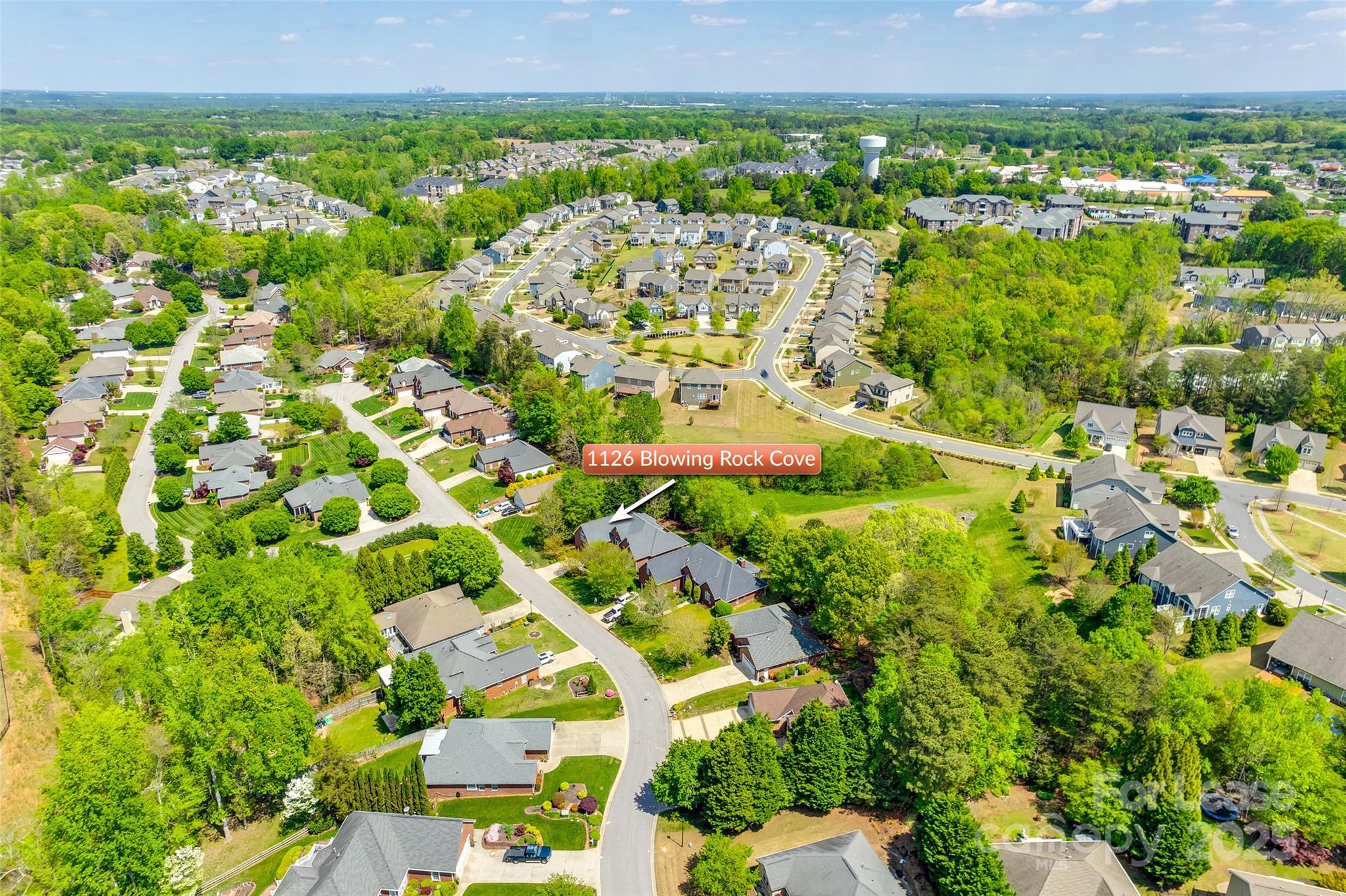 Palmetto West - Residential Lease