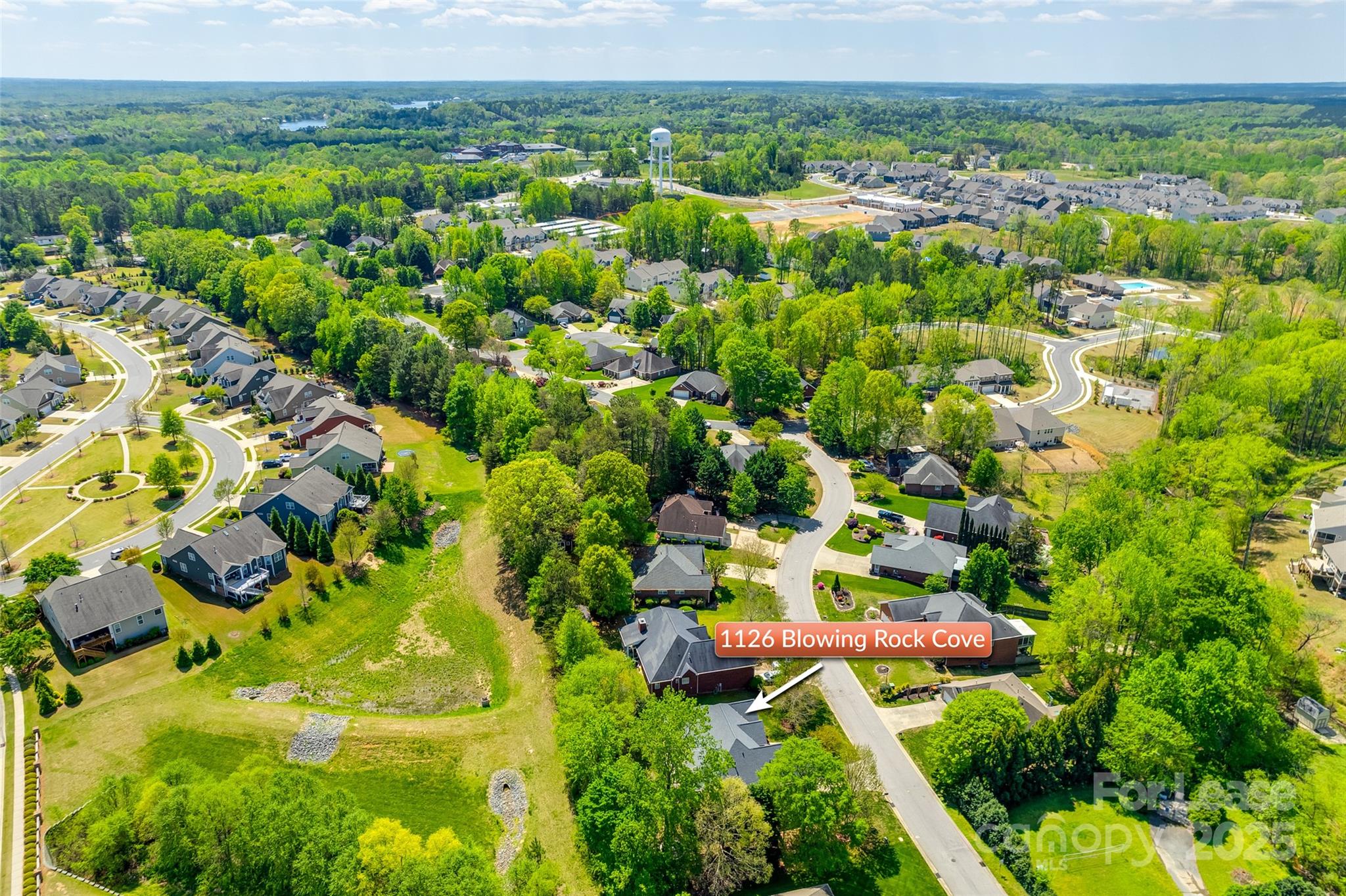 Palmetto West - Residential Lease